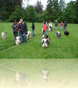 Spaziergang in Kaufbeuren im Mai 2011